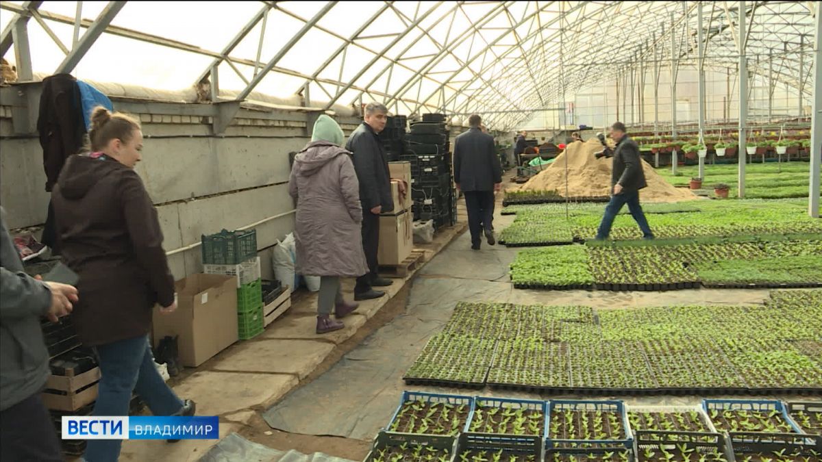 Глава Владимирской области Александр Авдеев посетил сельхозпредприятия Суздальского района